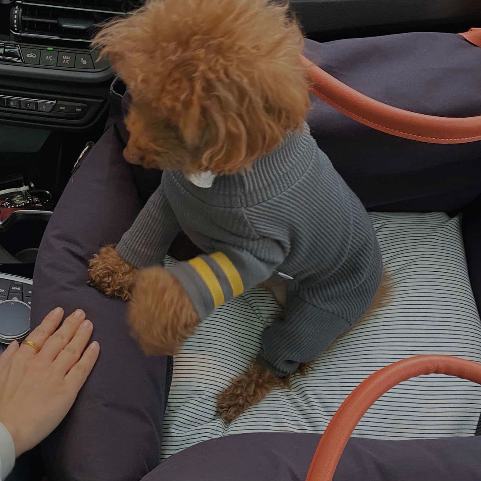 【新品】Monchouchou モンカーシート11 ノーマルサイズ　 黒　韓国 新品】Monchouchou モンカーシート11 ノーマルサイズ 黒 韓国