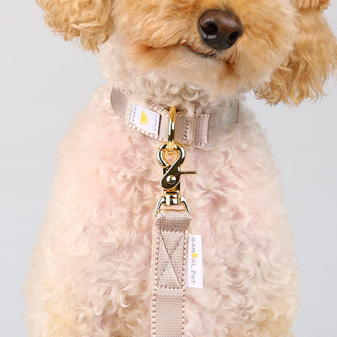 即納【BANDAL.Pet】ALL DAY NIZI collar（サンドベージュ）