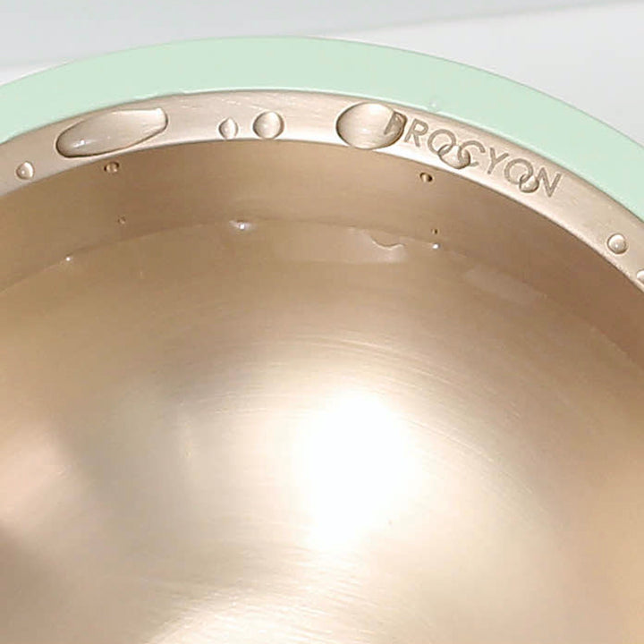 ※予約販売 【PROCYON】Bronze bowl