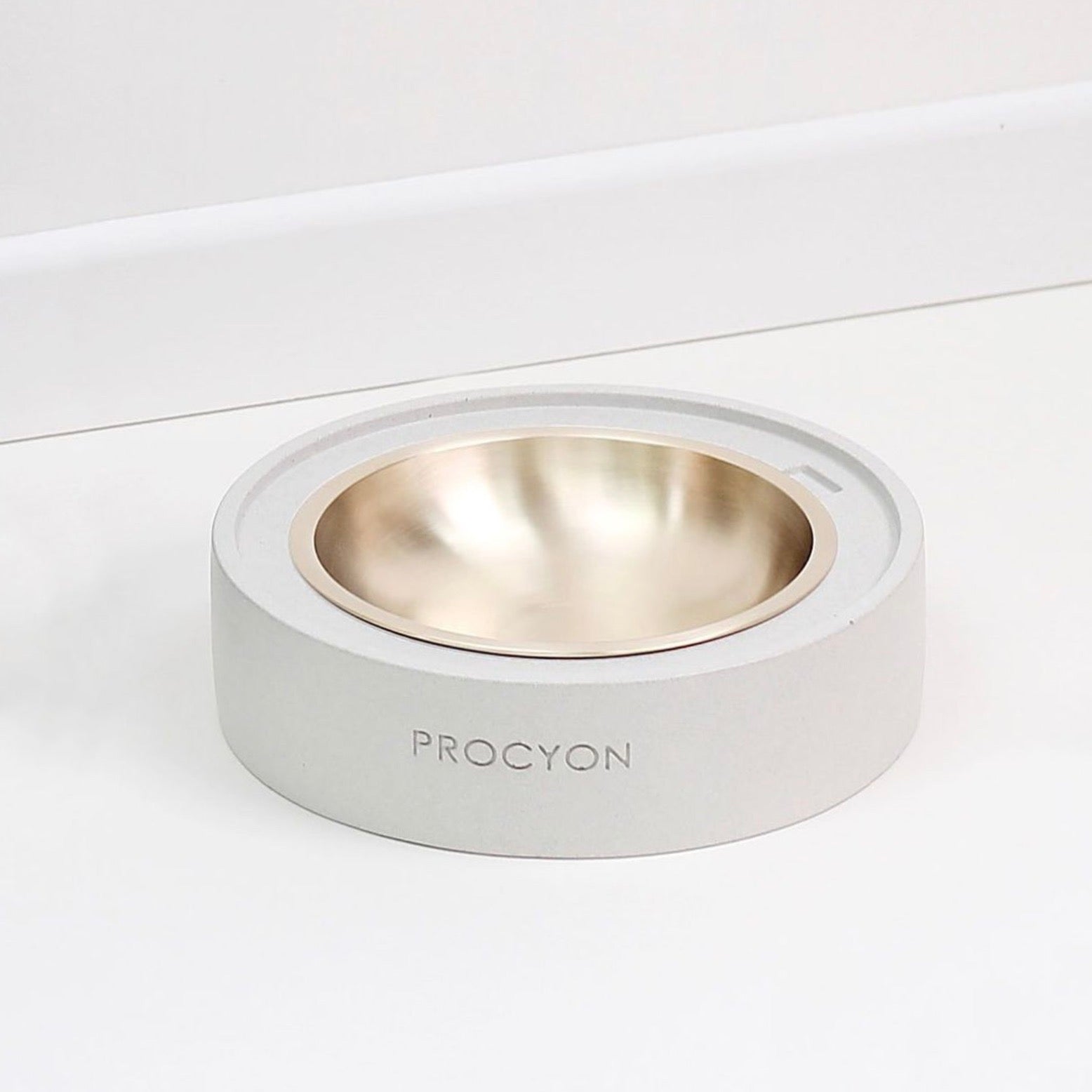 PROCYON – URBAN DOG TOKYO