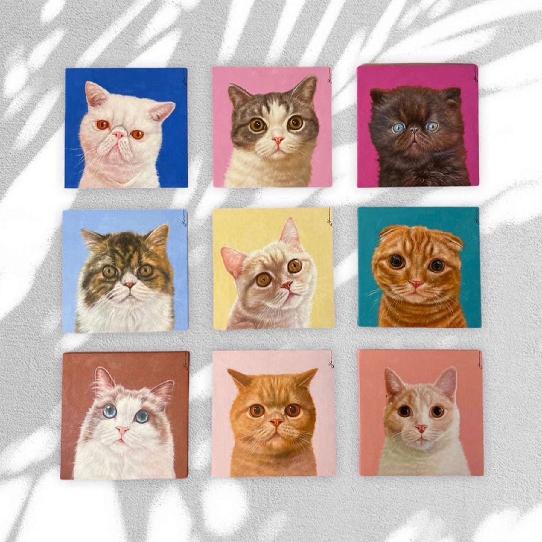 海外犬服 高品質なインポートのドッグウェア通販【draw pet】my