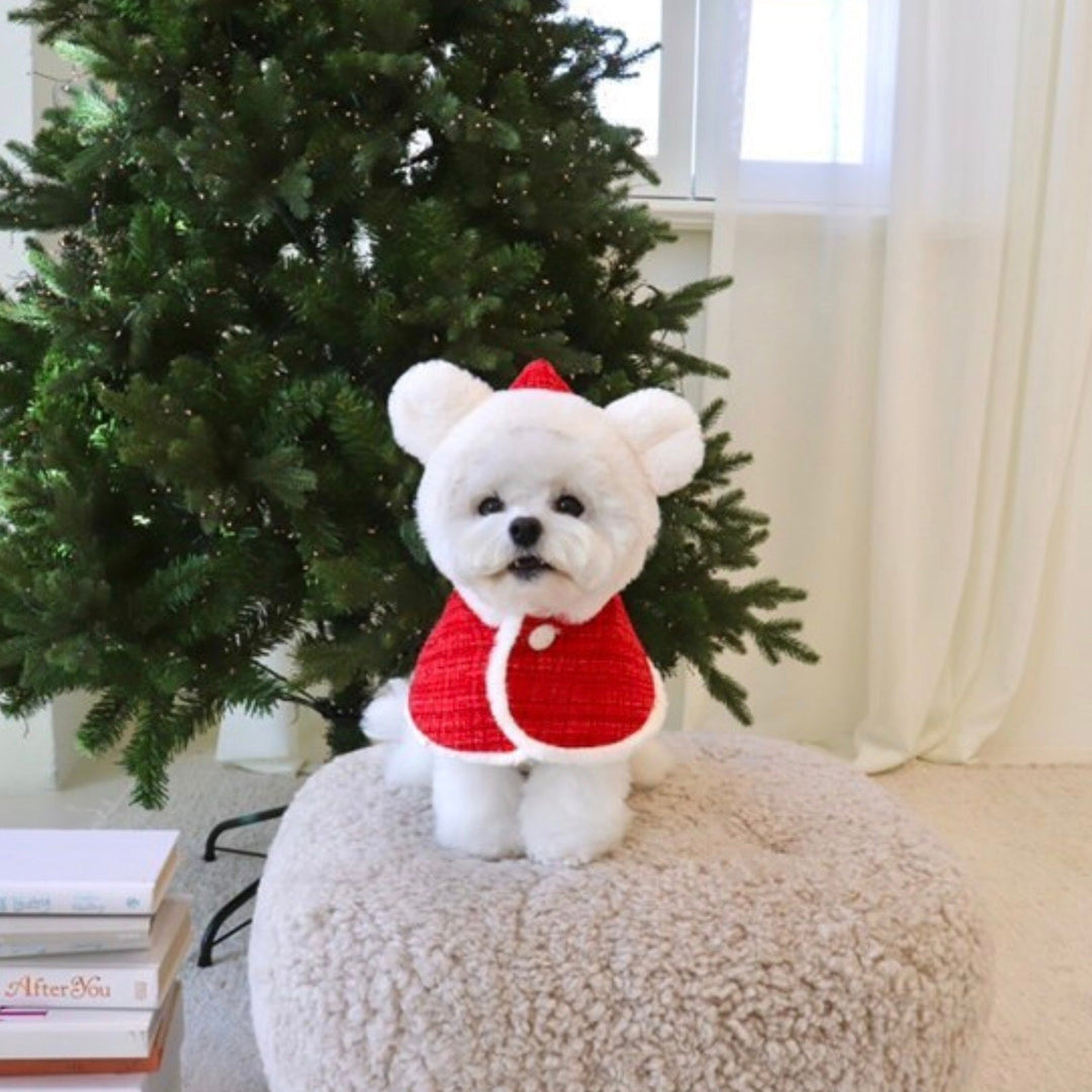 ※予約販売【Hi Yeboo】Christmas Bear Cape