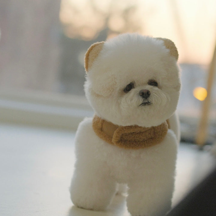 ※予約販売【BeBe Breath】puppy bear harness（Beige）