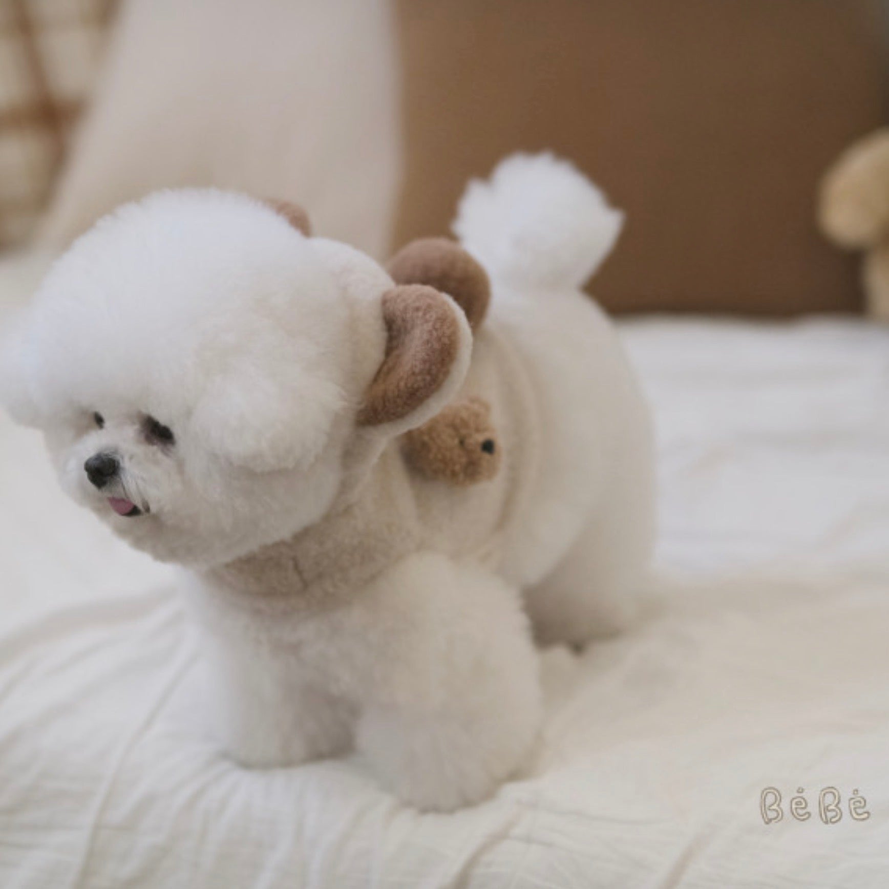海外犬服 高品質なインポートのドッグウェア通販 