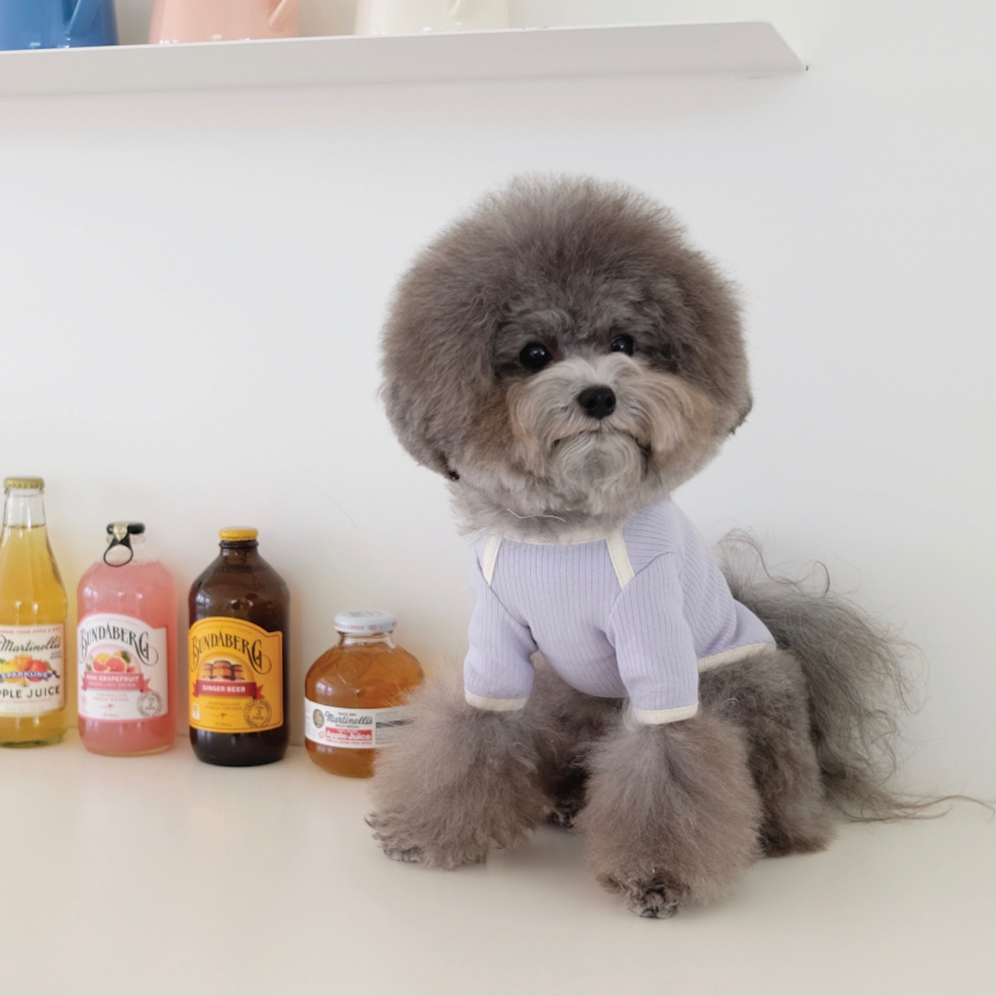 Tシャツ・カットソー – URBAN DOG TOKYO