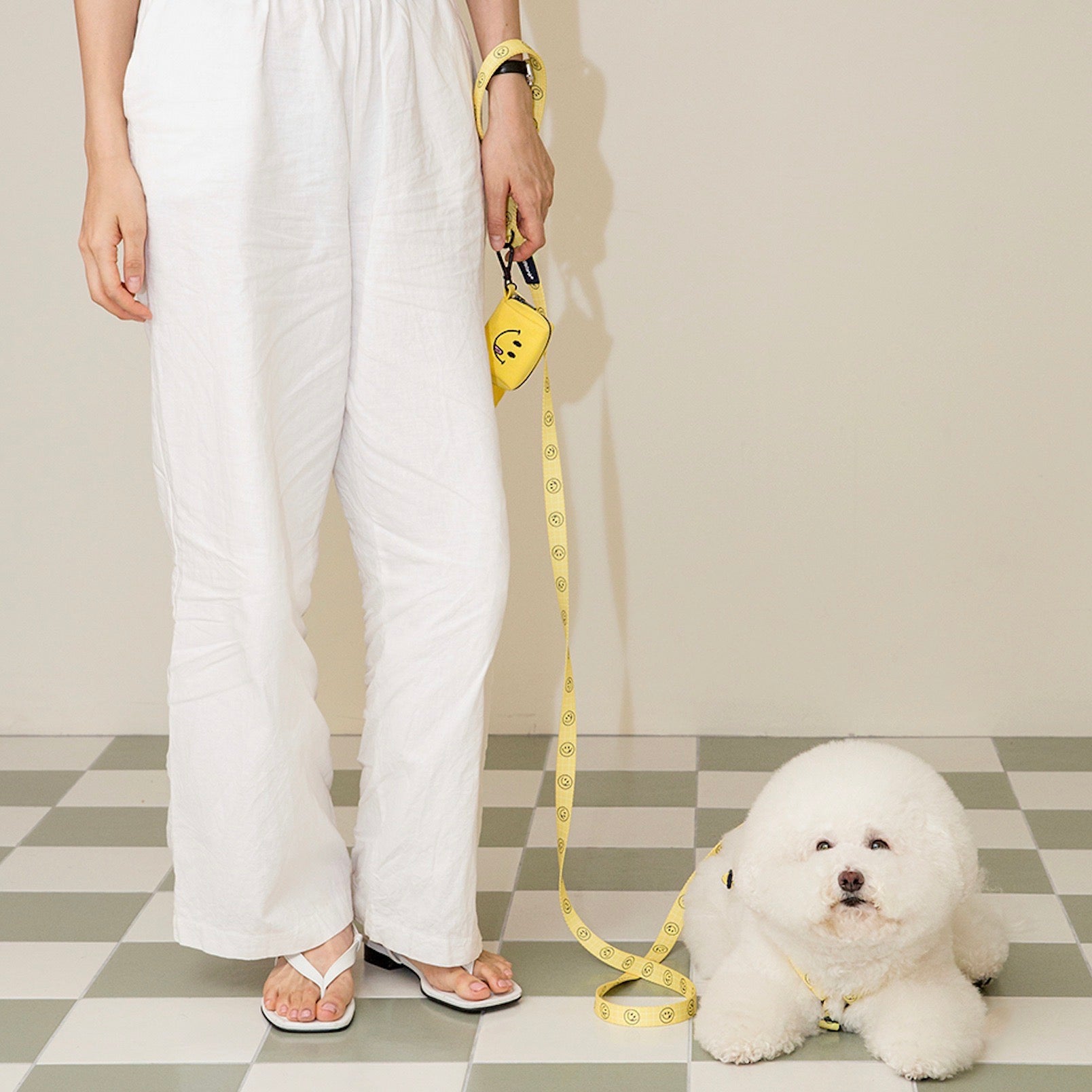 海外犬服 高品質なインポートのドッグウェア通販 