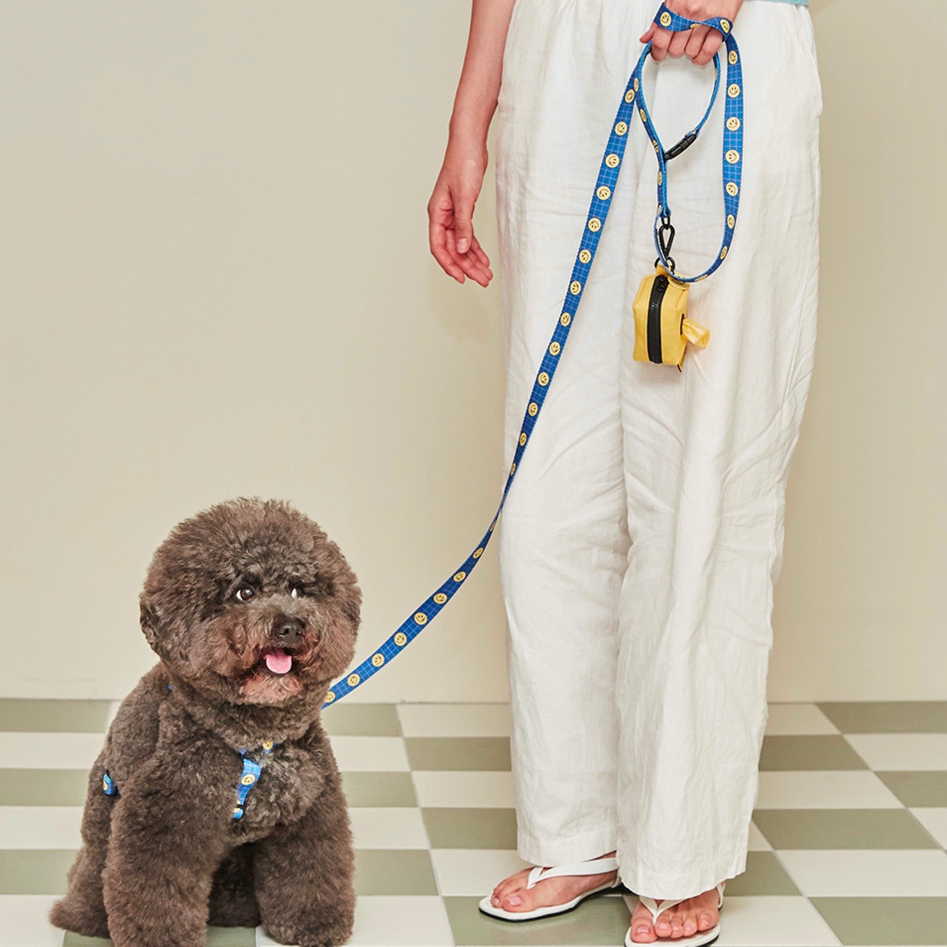 海外犬服 高品質なインポートのドッグウェア通販 