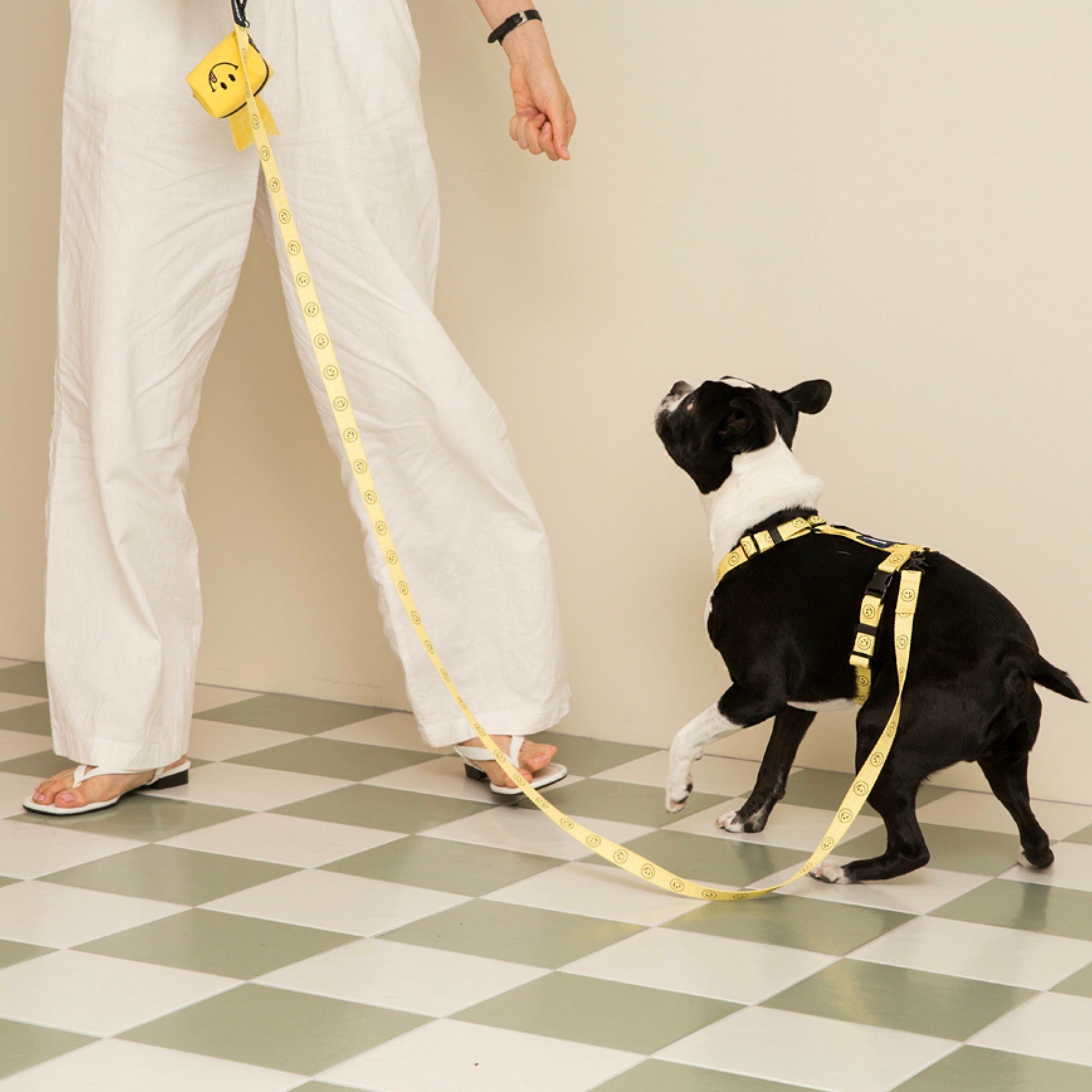 海外犬服 高品質なインポートのドッグウェア通販 