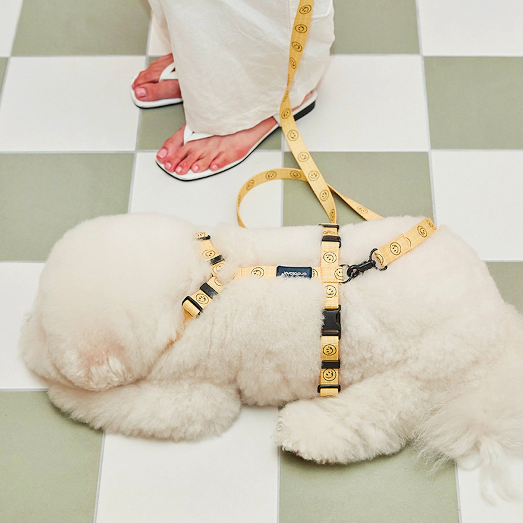 andblank ハーネス 海外犬服 高品質なインポートのドッグウェア通販 