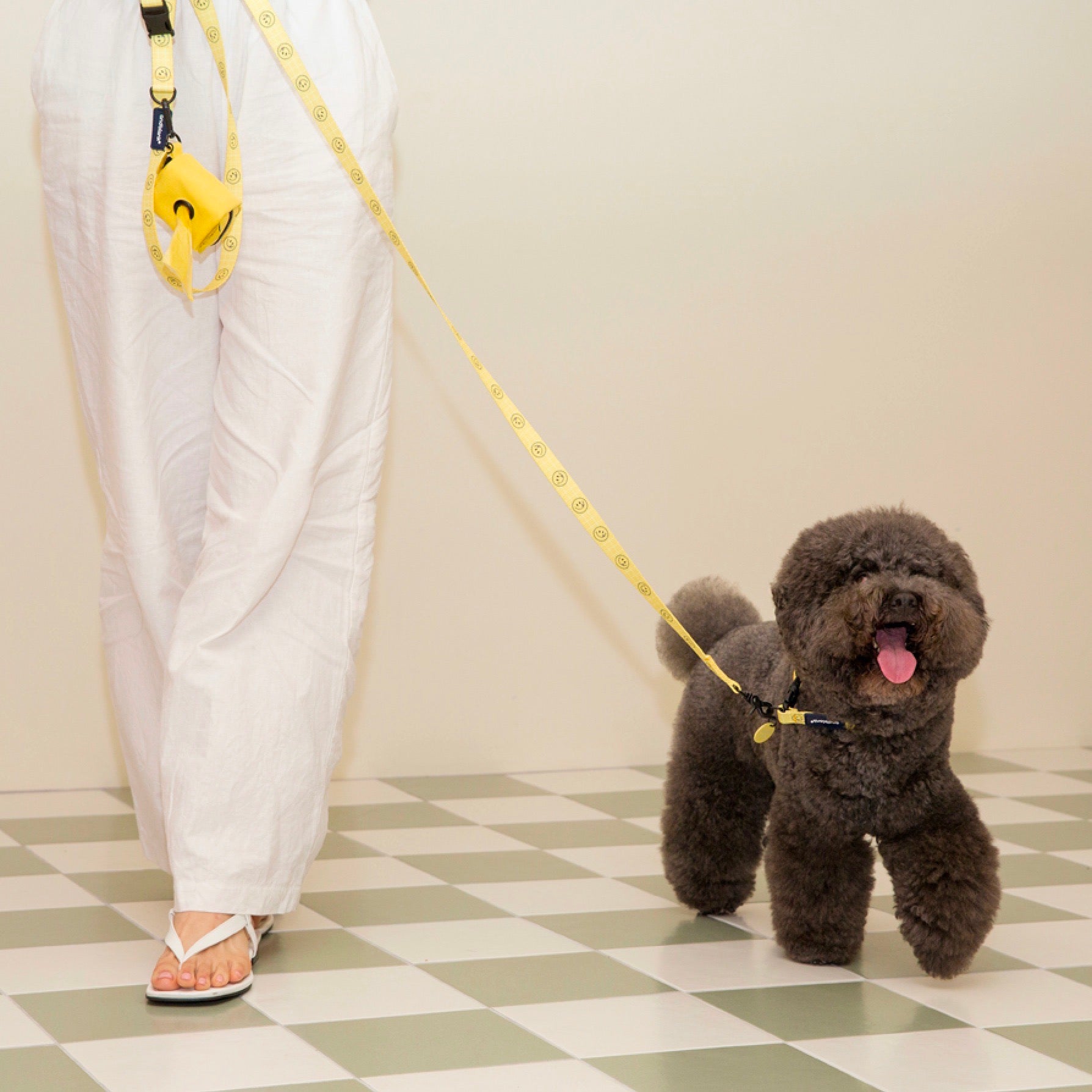 海外犬服 高品質なインポートのドッグウェア通販 