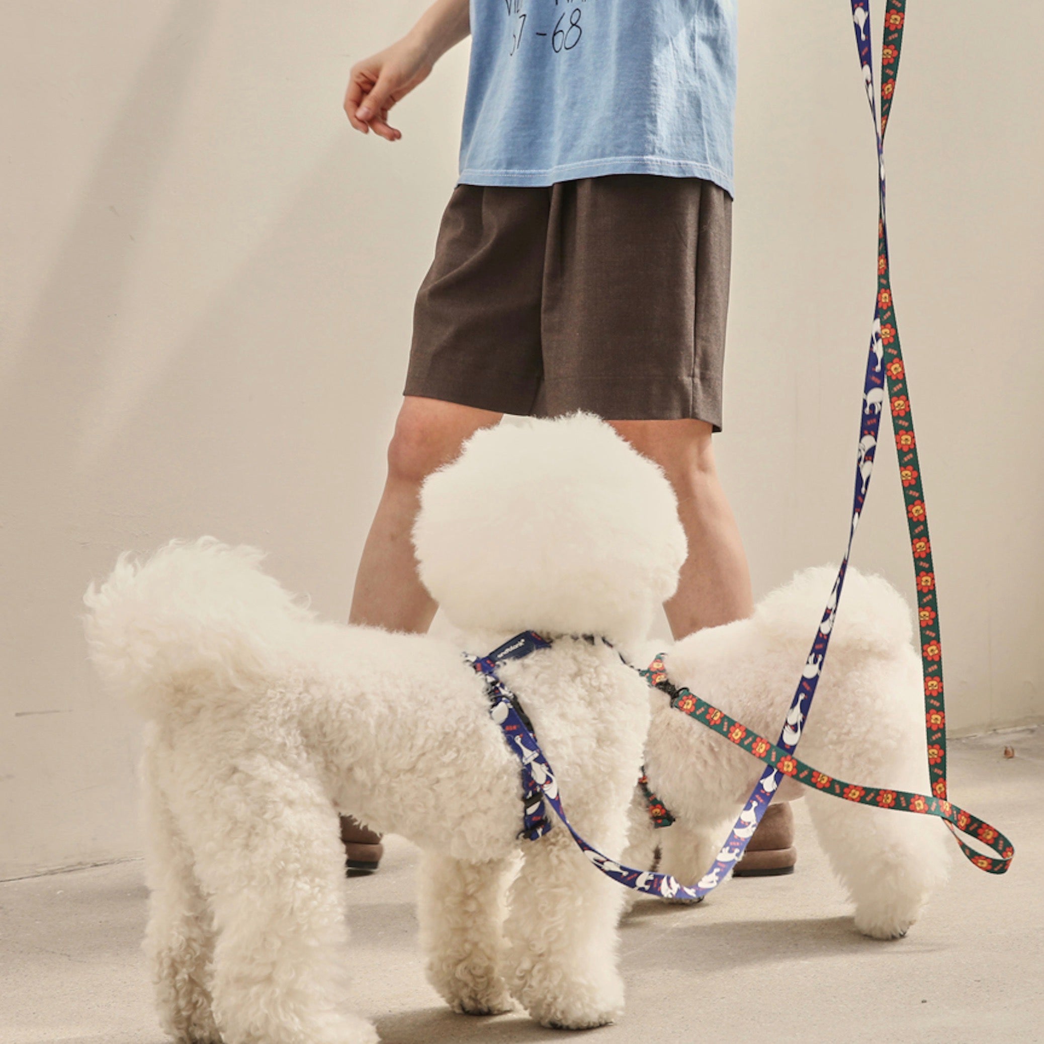 海外犬服 高品質なインポートのドッグウェア通販 