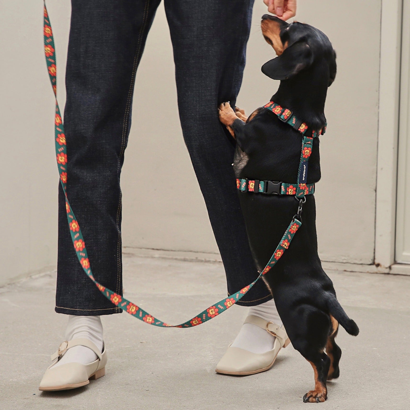 andblank ハーネス 海外犬服 高品質なインポートのドッグウェア通販 