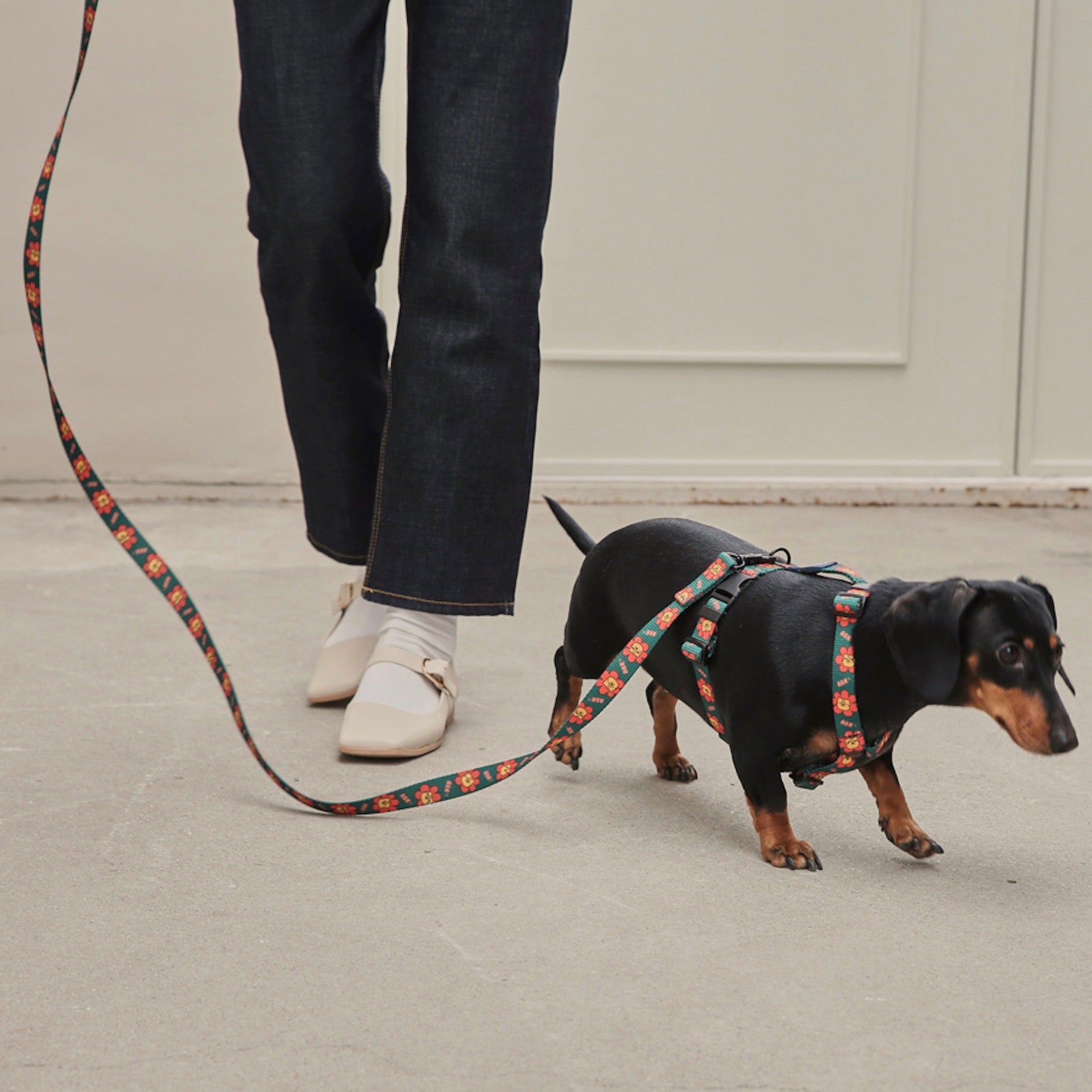 海外犬服 高品質なインポートのドッグウェア通販 