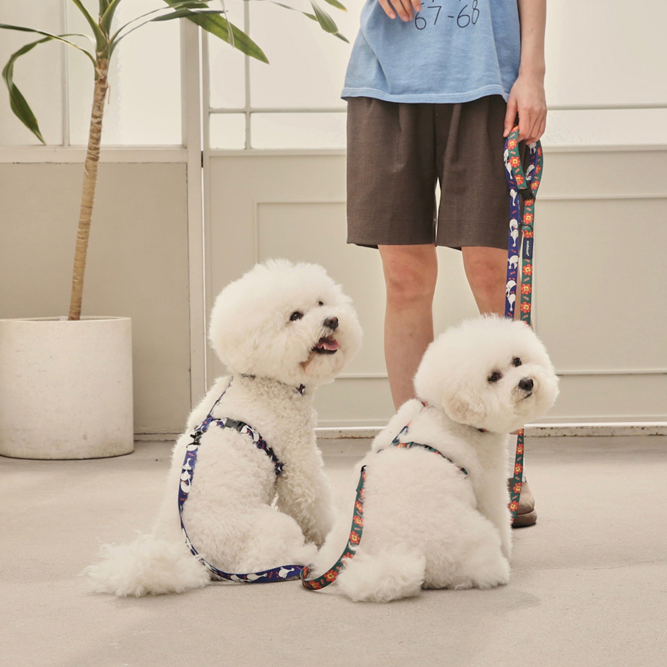 海外犬服 高品質なインポートのドッグウェア通販 