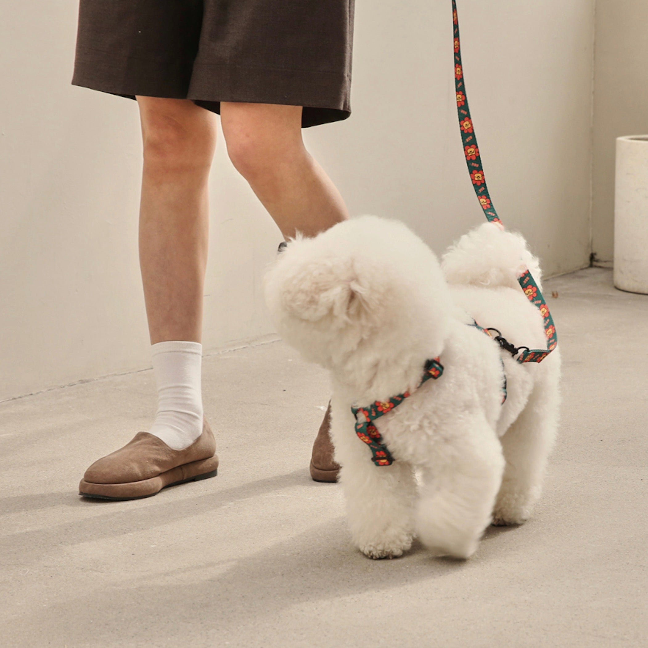 海外犬服 高品質なインポートのドッグウェア通販 