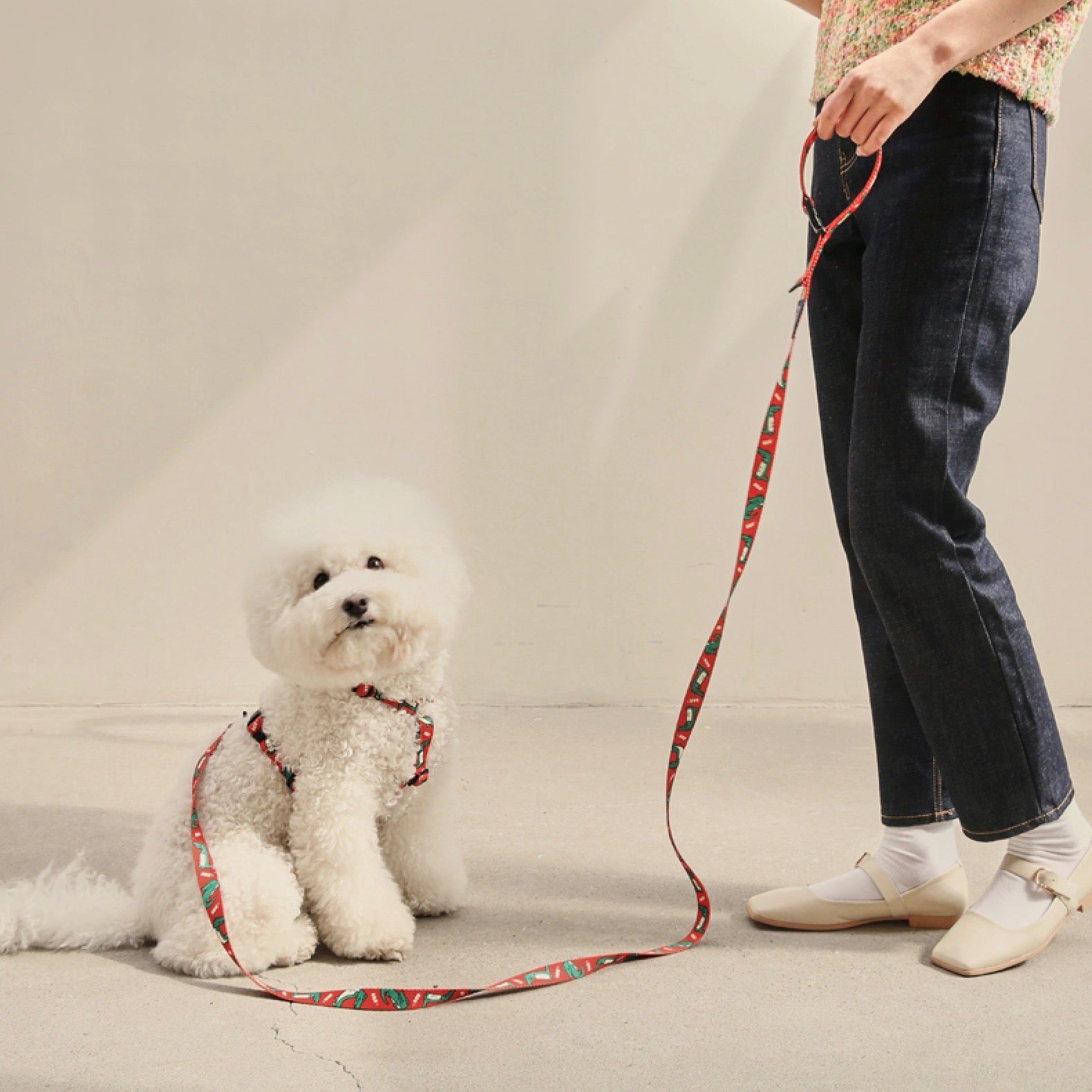 海外犬服 高品質なインポートのドッグウェア通販 