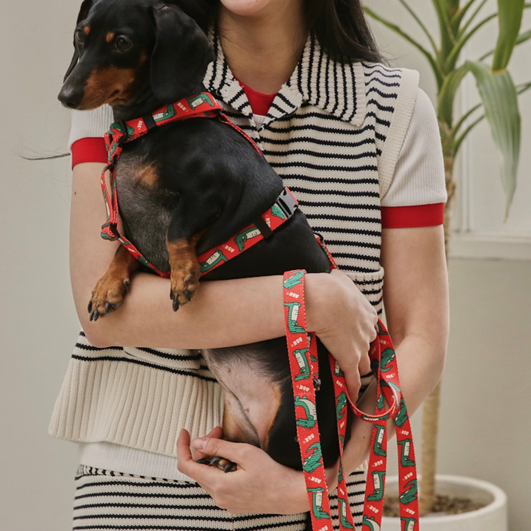 海外犬服 高品質なインポートのドッグウェア通販 