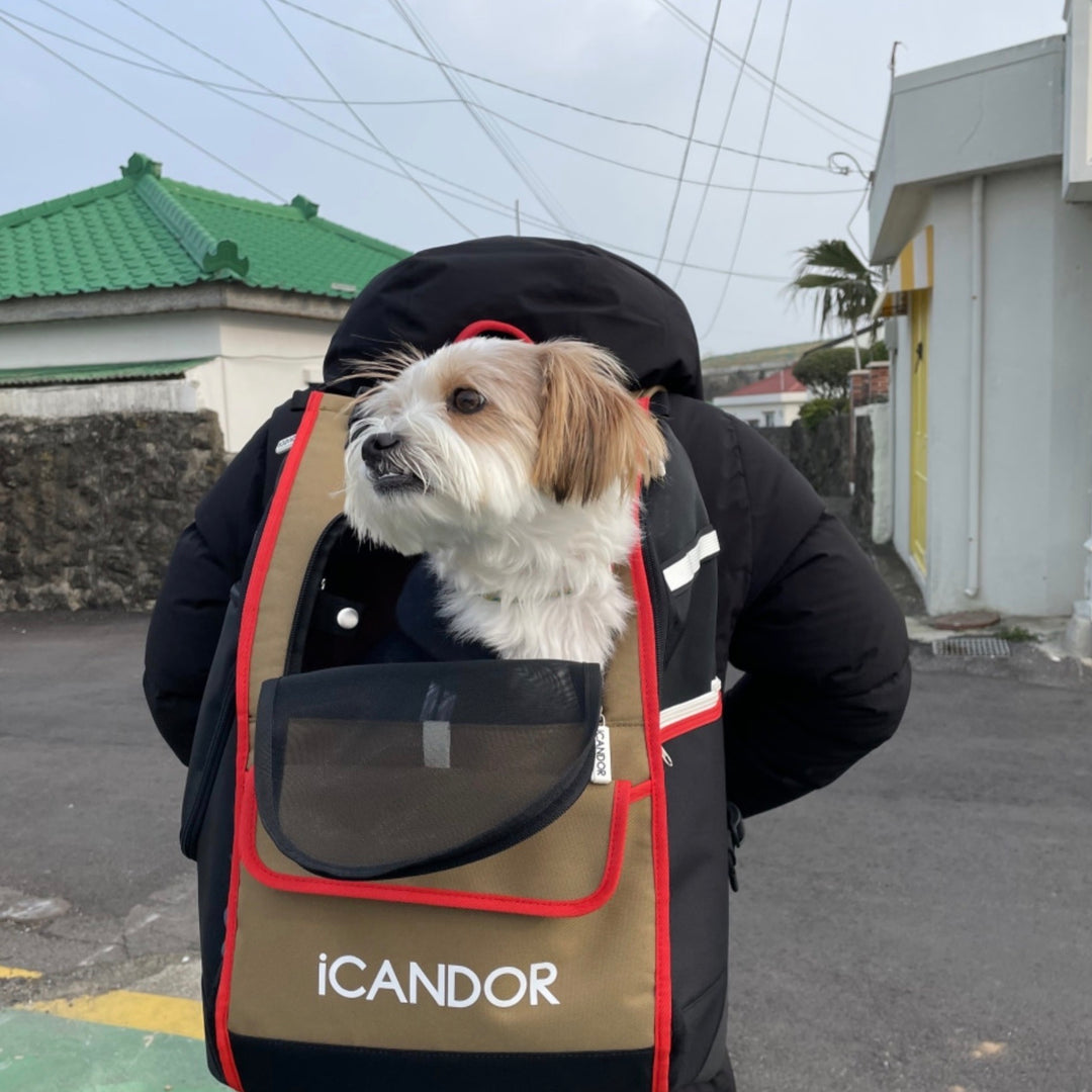 ※予約販売【iCANDOR】JIGE bag（Vivid Khaki）