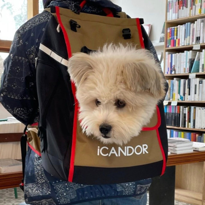 ※予約販売【iCANDOR】JIGE bag（Vivid Khaki）