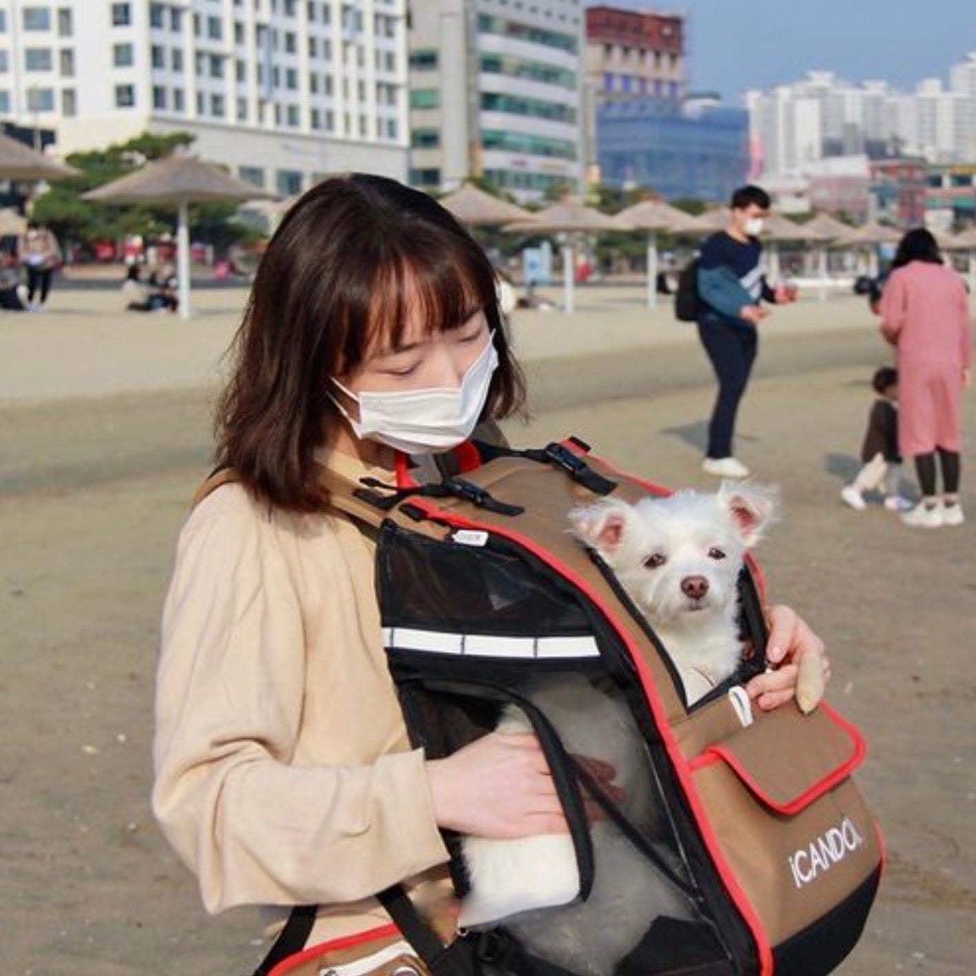 海外犬服 高品質なインポートのドッグウェア通販 