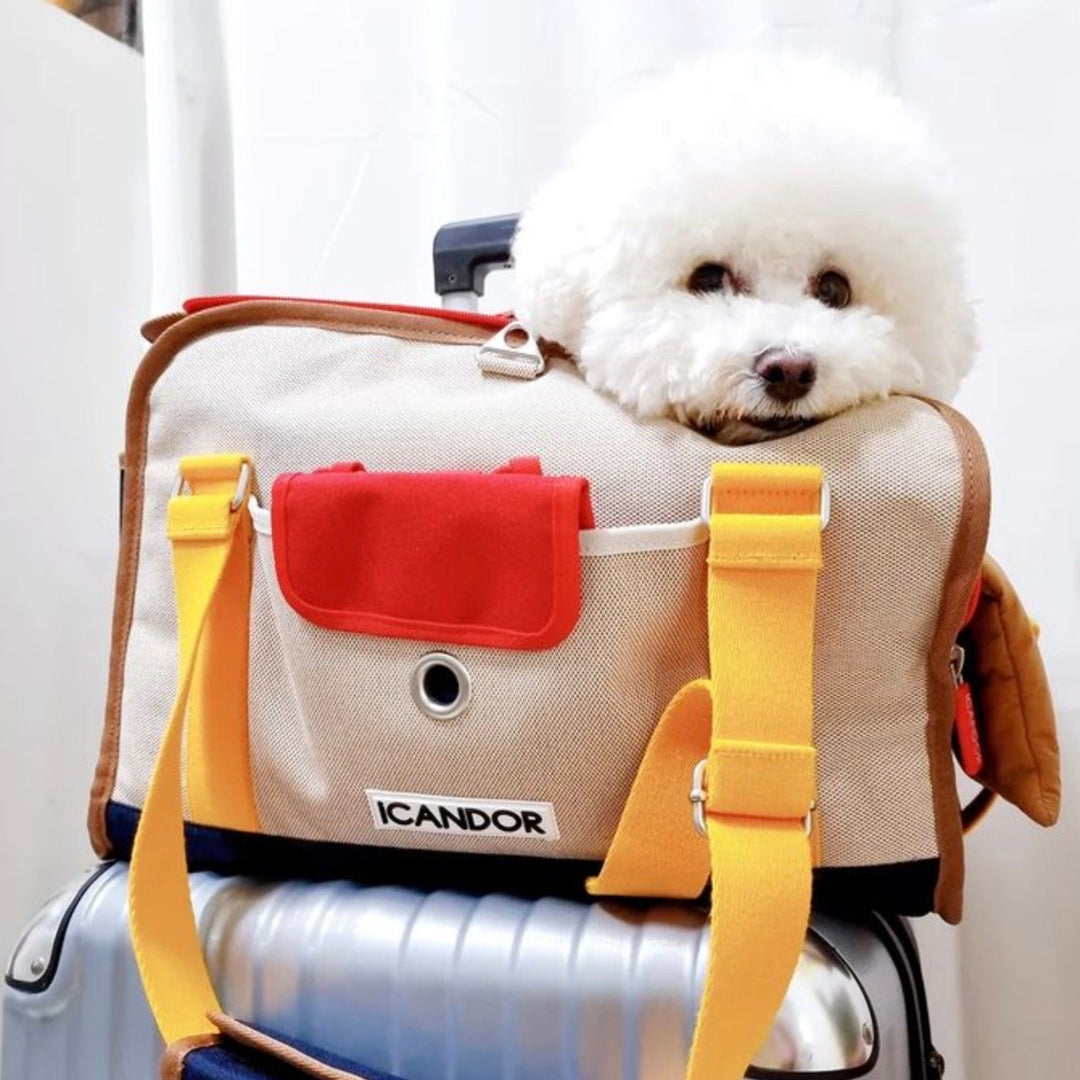 即納【iCANDOR】i bag（Sassy Cream）