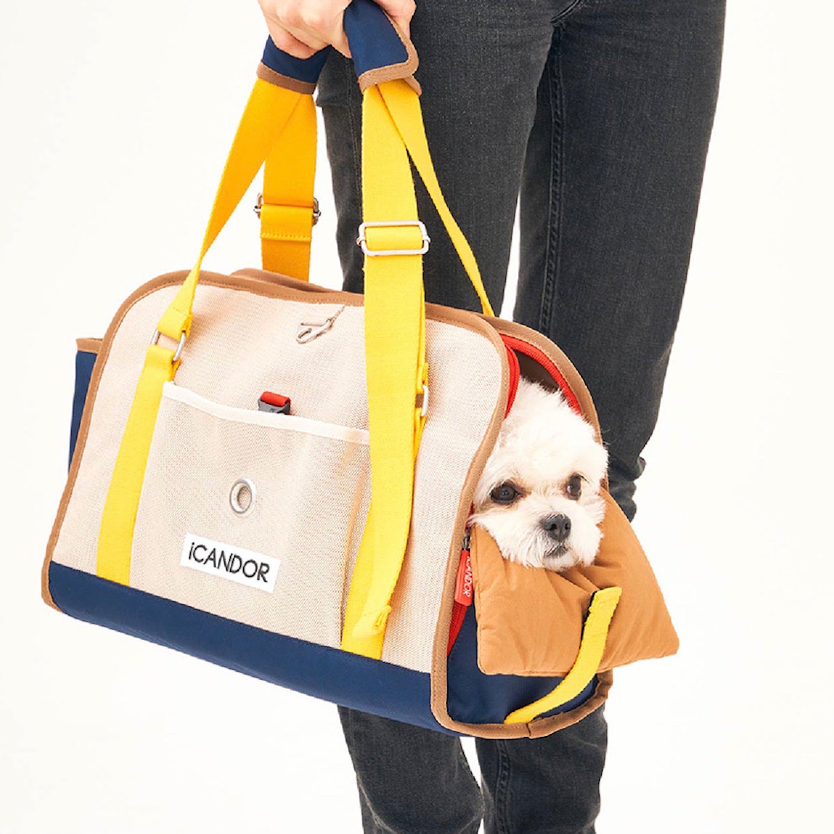 iCANDOR i BAG (SASSY CREAM) Ｌサイズ 海外犬服 高品質なインポートのドッグウェア通販 