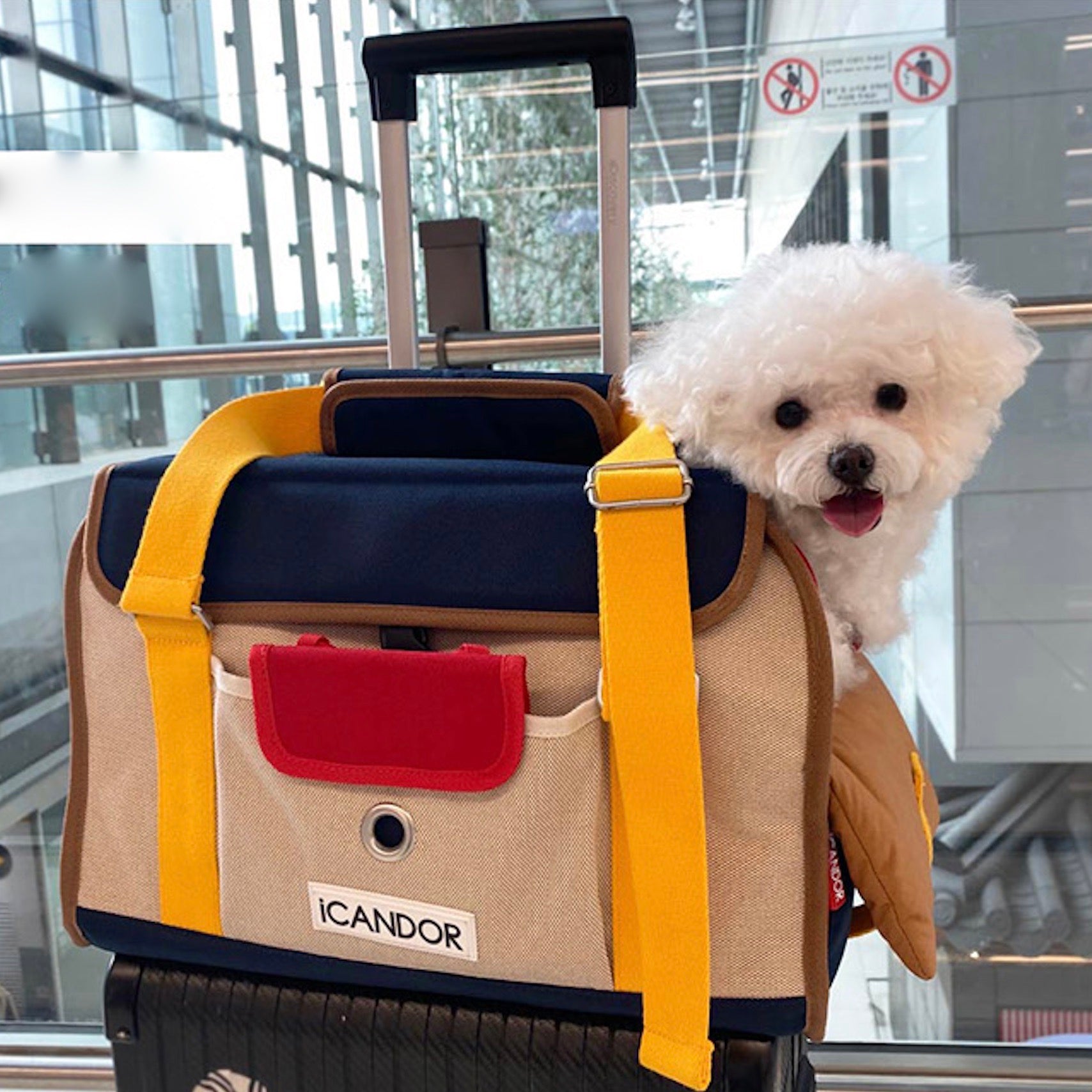 海外犬服 高品質なインポートのドッグウェア通販 