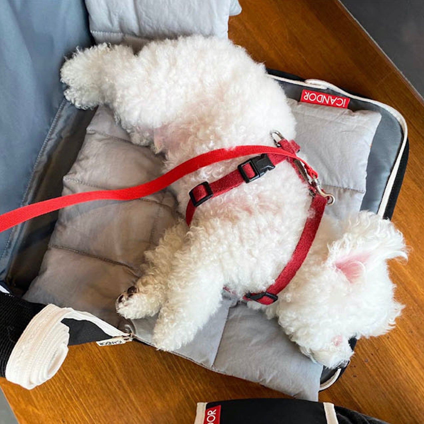 海外犬服 高品質なインポートのドッグウェア通販 