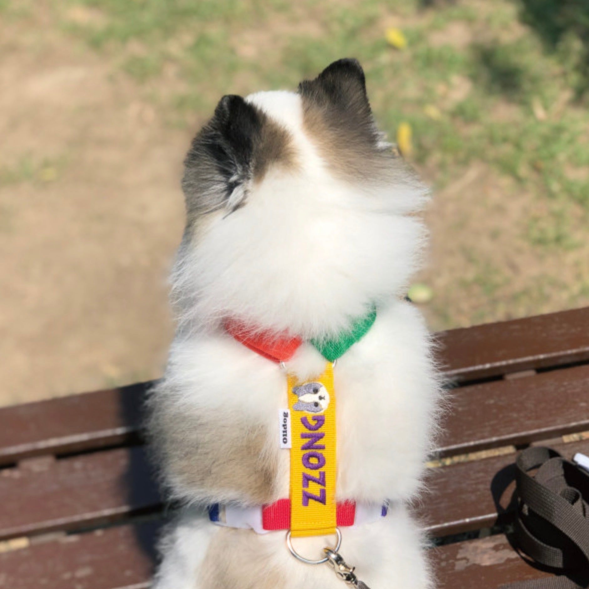 海外犬服 高品質なインポートのドッグウェア通販 