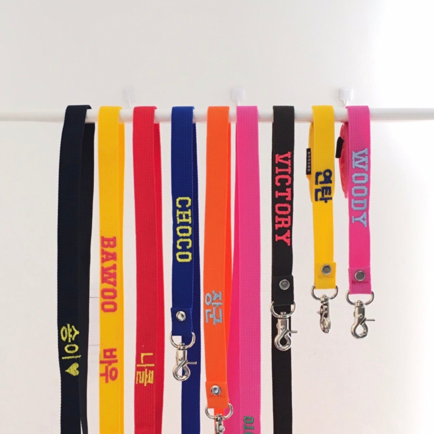 ※予約販売【ol1dog】うちの子 カラーネーミングリード