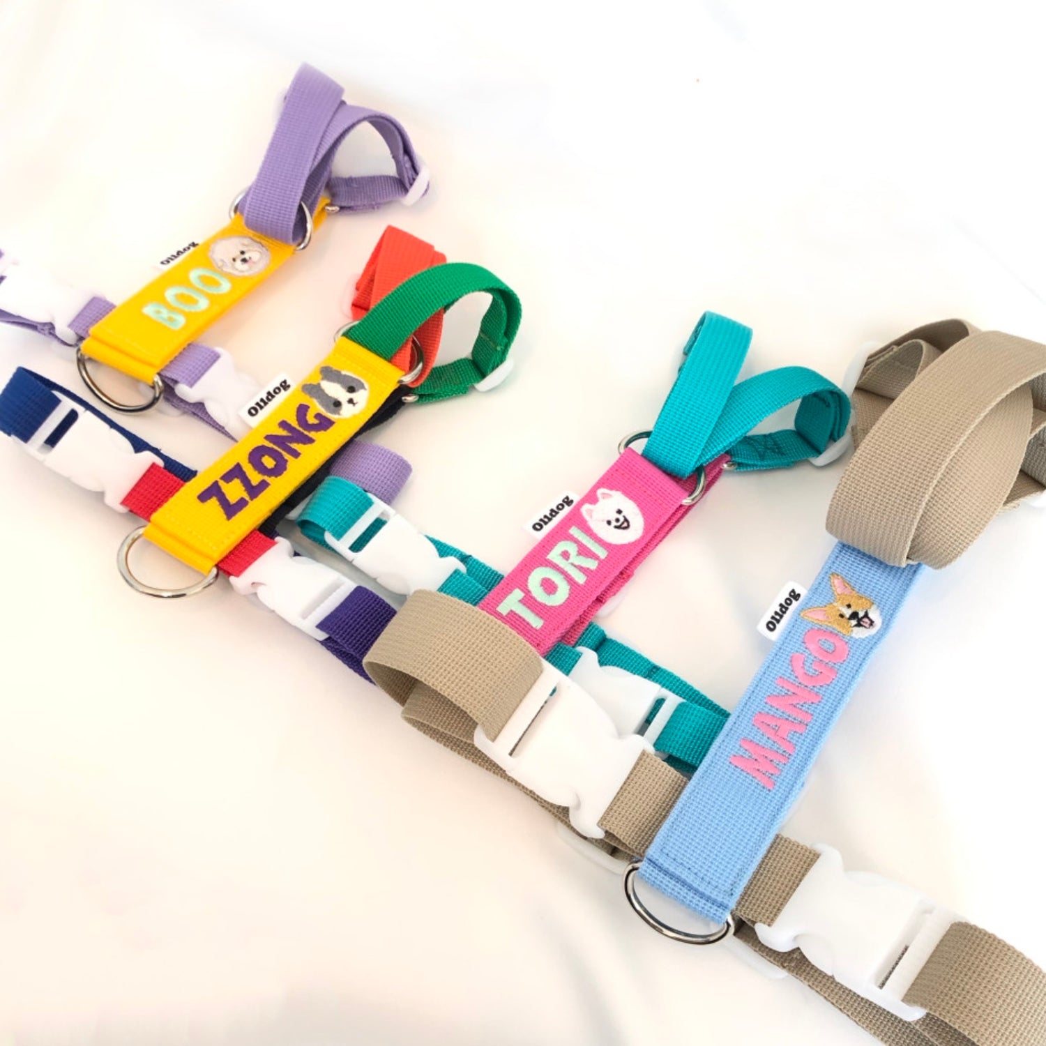 ※予約販売【ol1dog】うちの子 ネーミングハーネス(Hタイプ)