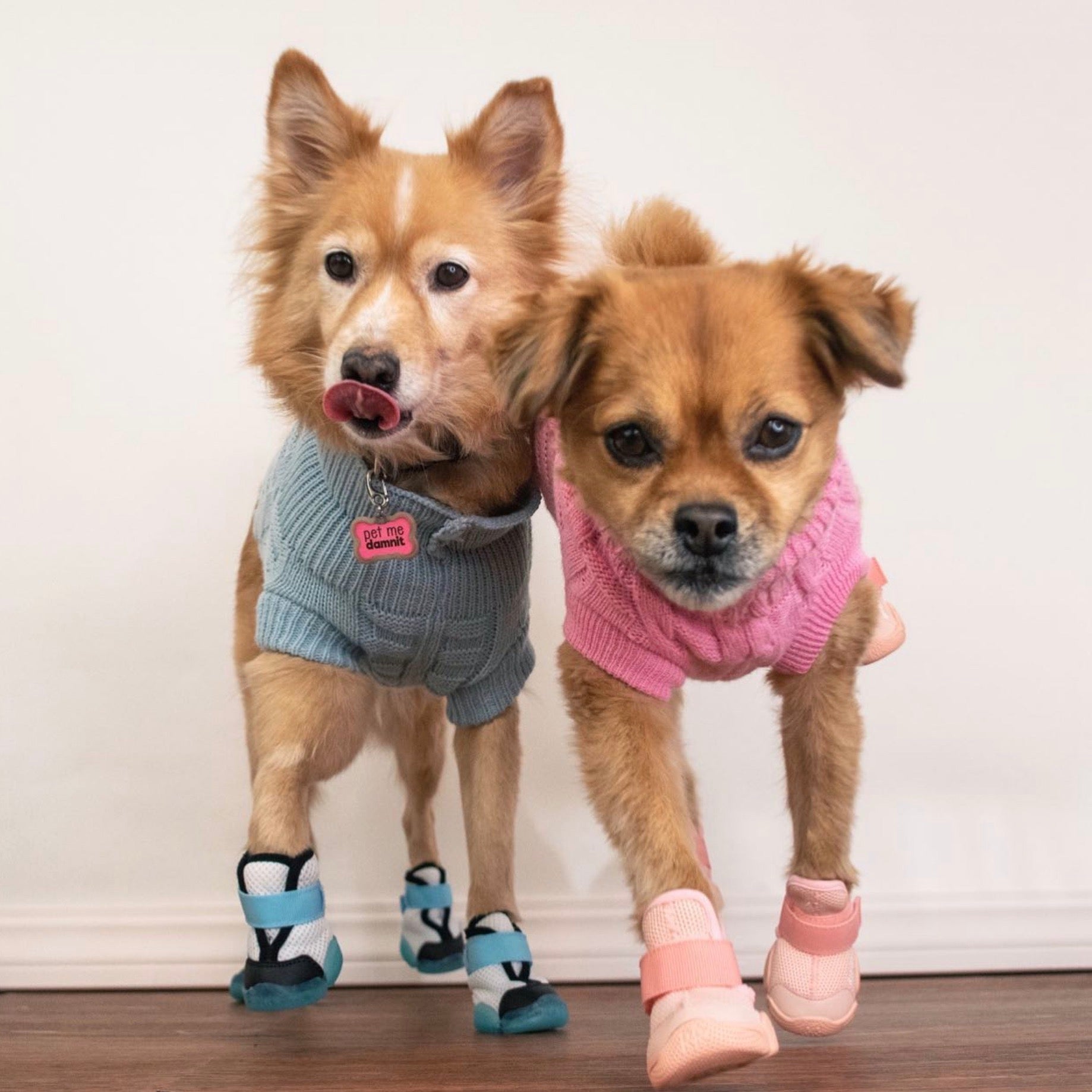 海外犬服 高品質なインポートのドッグウェア通販 