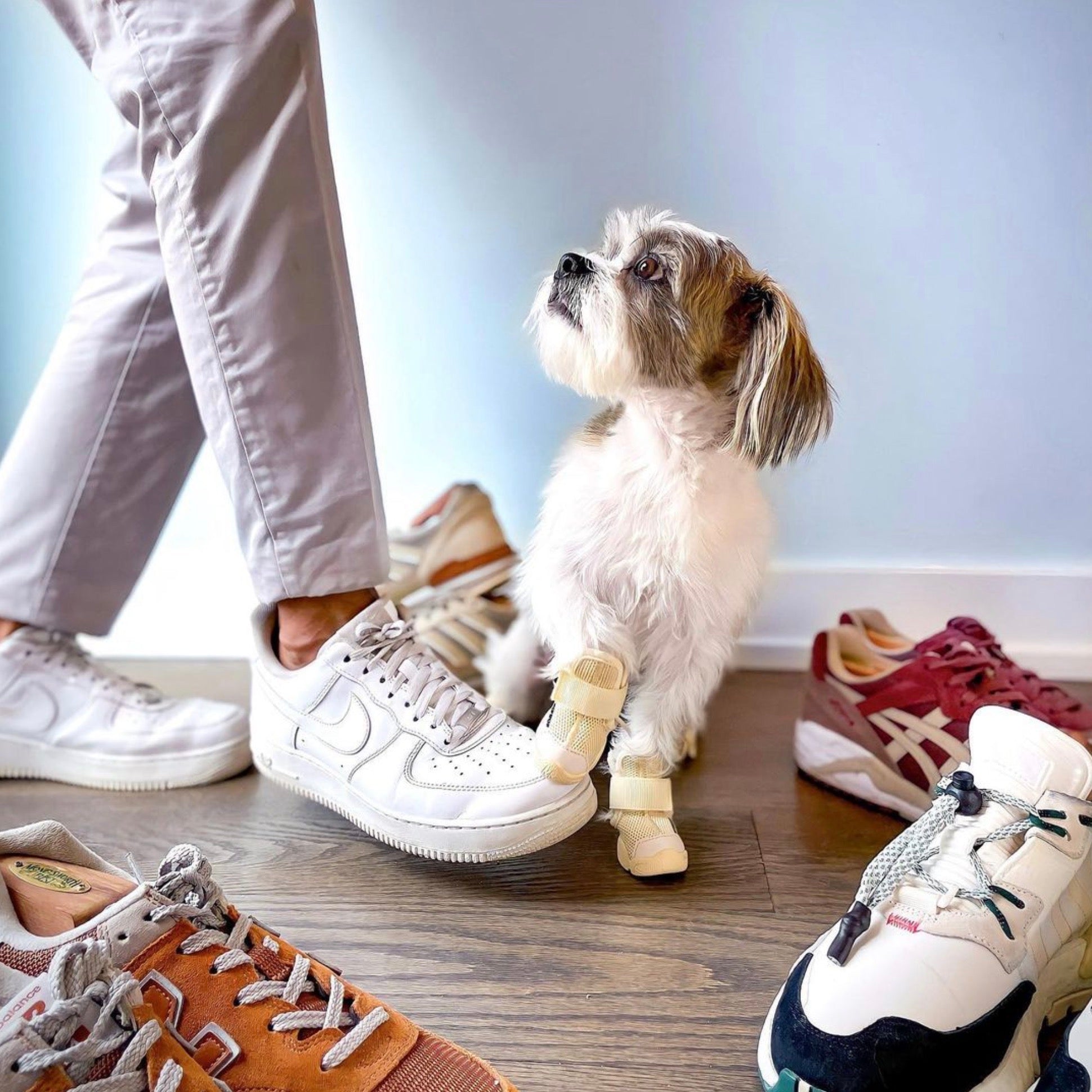 RIFRUF 0サイズ 犬用靴 犬靴-