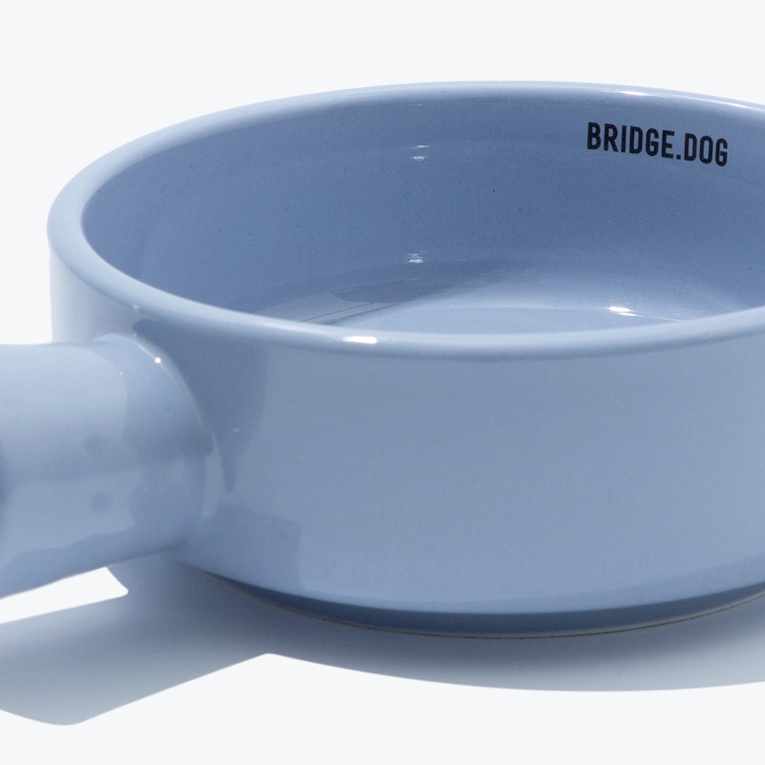 ※予約販売【BRIDGE.DOG】BRIDGE PAN（COTTON BLUE）艶あり