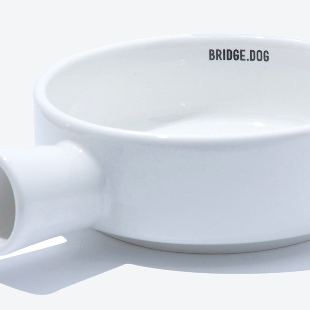 ※予約販売【BRIDGE.DOG】BRIDGE PAN（WHITE）艶あり