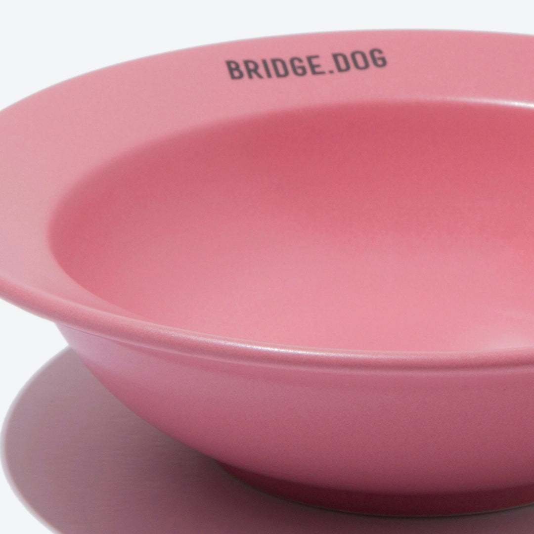 ※予約販売【BRIDGE.DOG】BRIDGE MINI DISH（CORAL PINK）