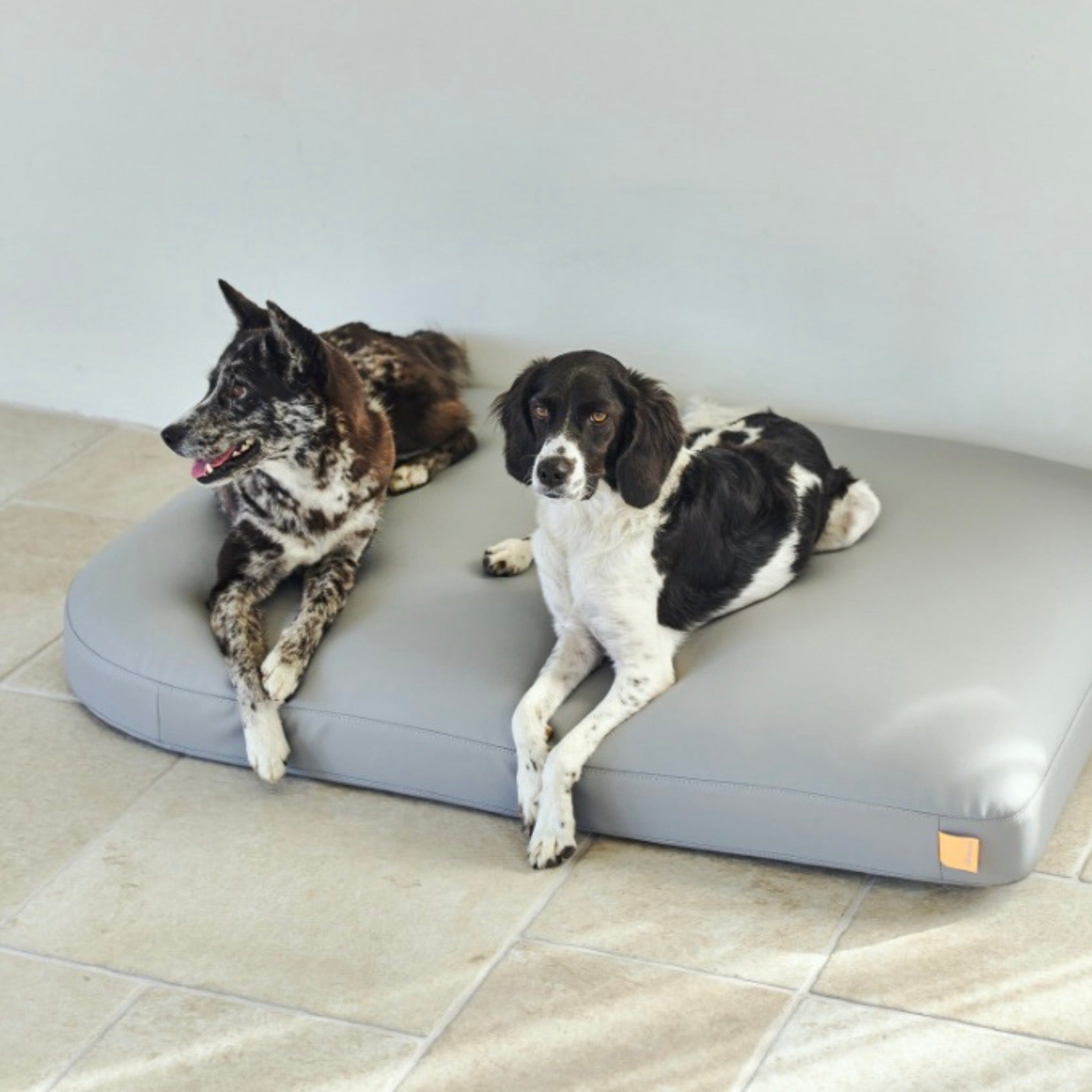 munikund WATER-BLOCK SILICON BED 大型犬ベッド高さ13cm