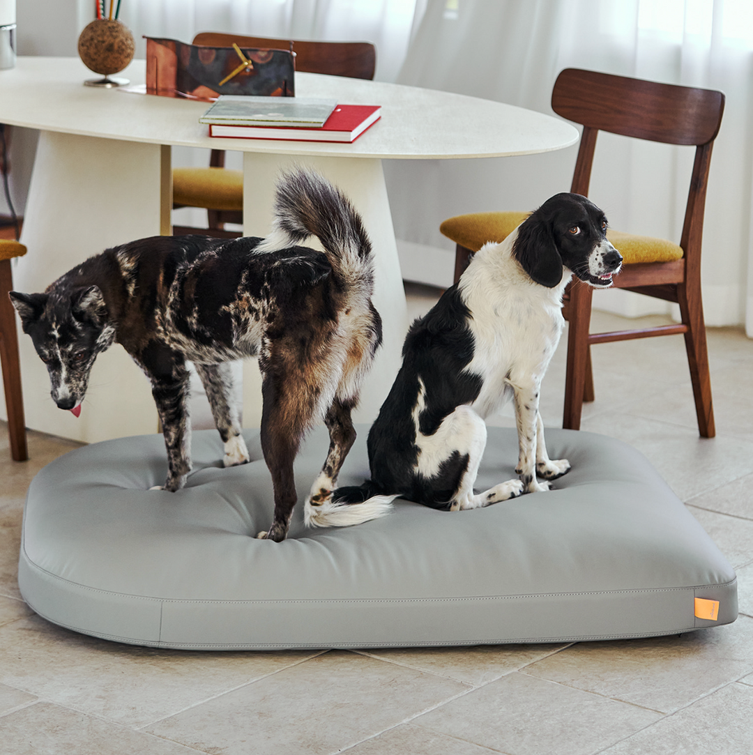 munikund WATER-BLOCK SILICON BED 大型犬ベッド munikund WATER-BLOCK SILICON BED 大型犬ベッド