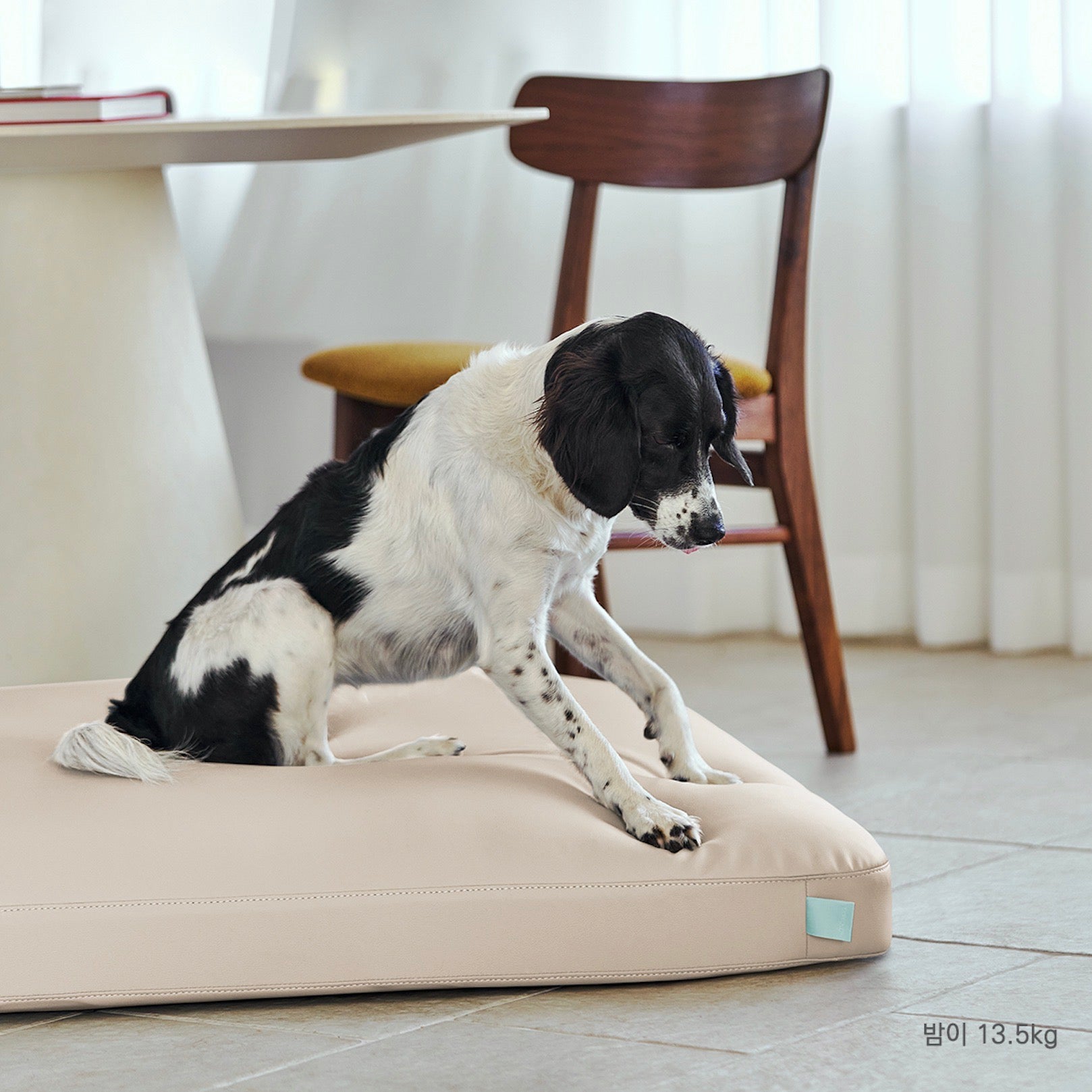 munikund WATER-BLOCK SILICON BED 大型犬ベッド