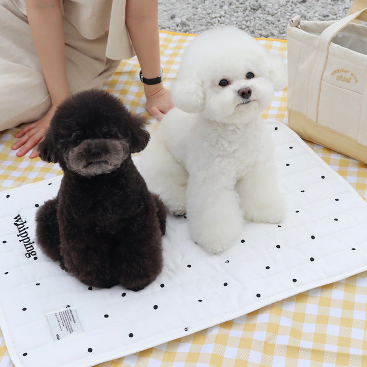 ※予約販売【Chiot】Cool mat with embroidered name（Dot）
