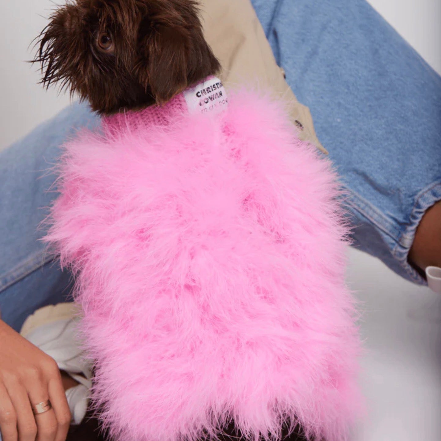 海外犬服 高品質なインポートのドッグウェア通販 