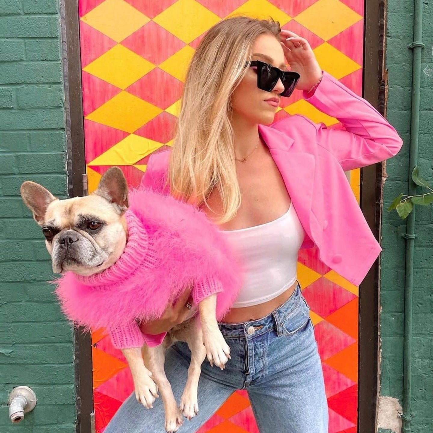 海外犬服 高品質なインポートのドッグウェア通販 