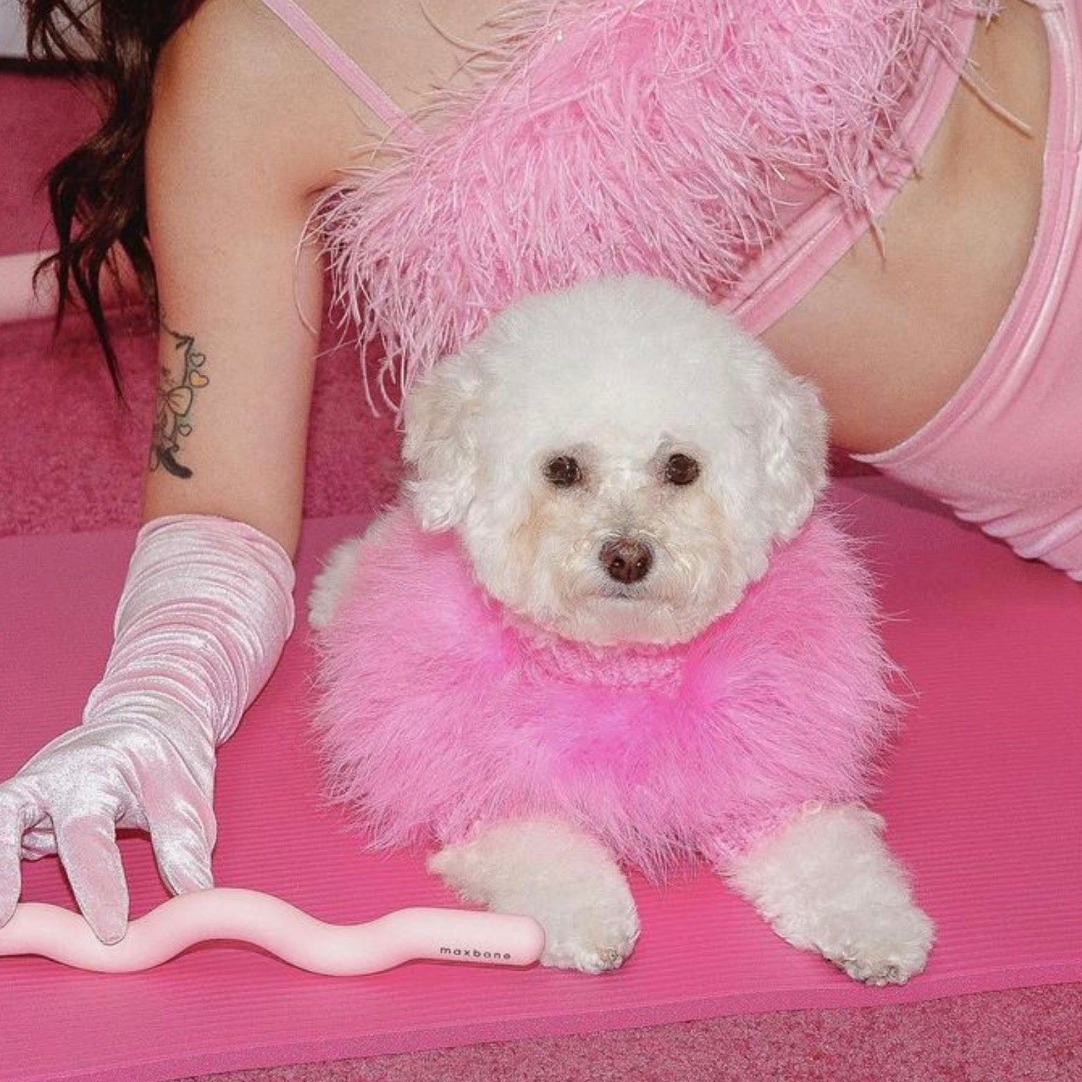 海外犬服 高品質なインポートのドッグウェア通販 