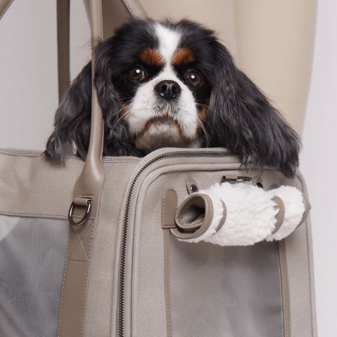※予約販売【max bone】Global Citizen Pet Carrier Bag