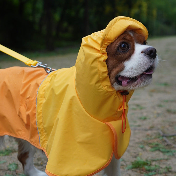 ※予約販売【iCANDOR】adventure rain coat（Sun Orange）