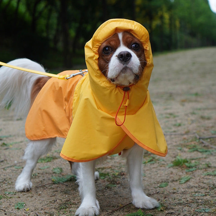 ※予約販売【iCANDOR】adventure rain coat（Sun Orange）