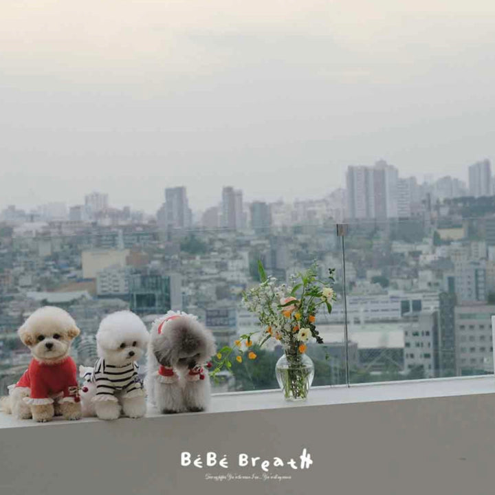 即納【BeBe Breath】be & T-shirt（Red）