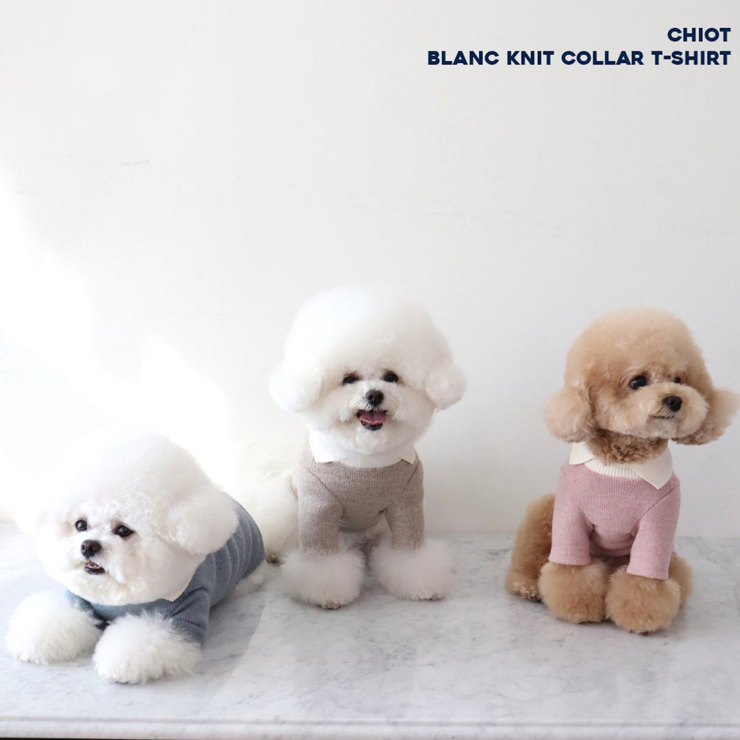 ※予約販売【Chiot】BLANC KNIT COLLAR T-SHIRT（Pink）