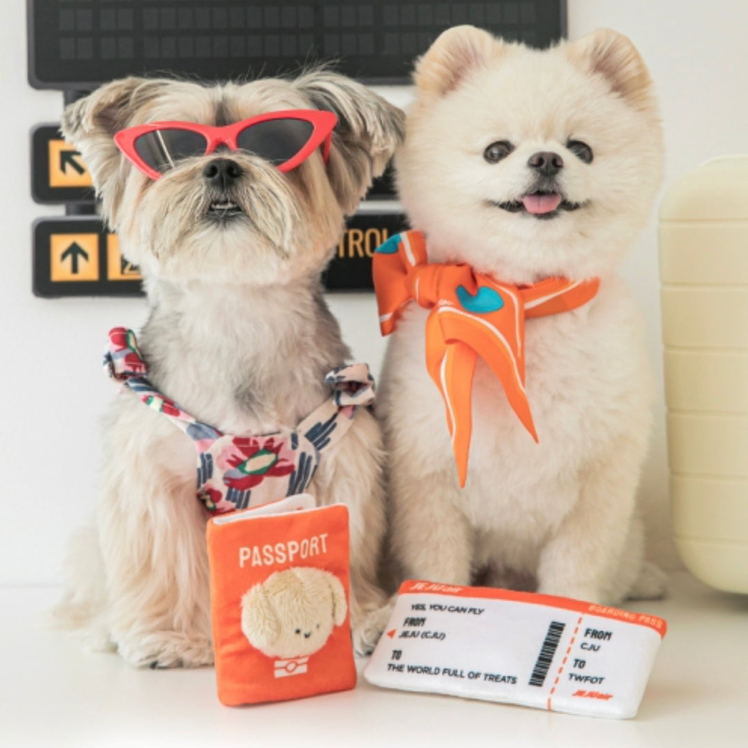 即納【BITE ME × Jeju air】Pet passport&ticket nosework toy set