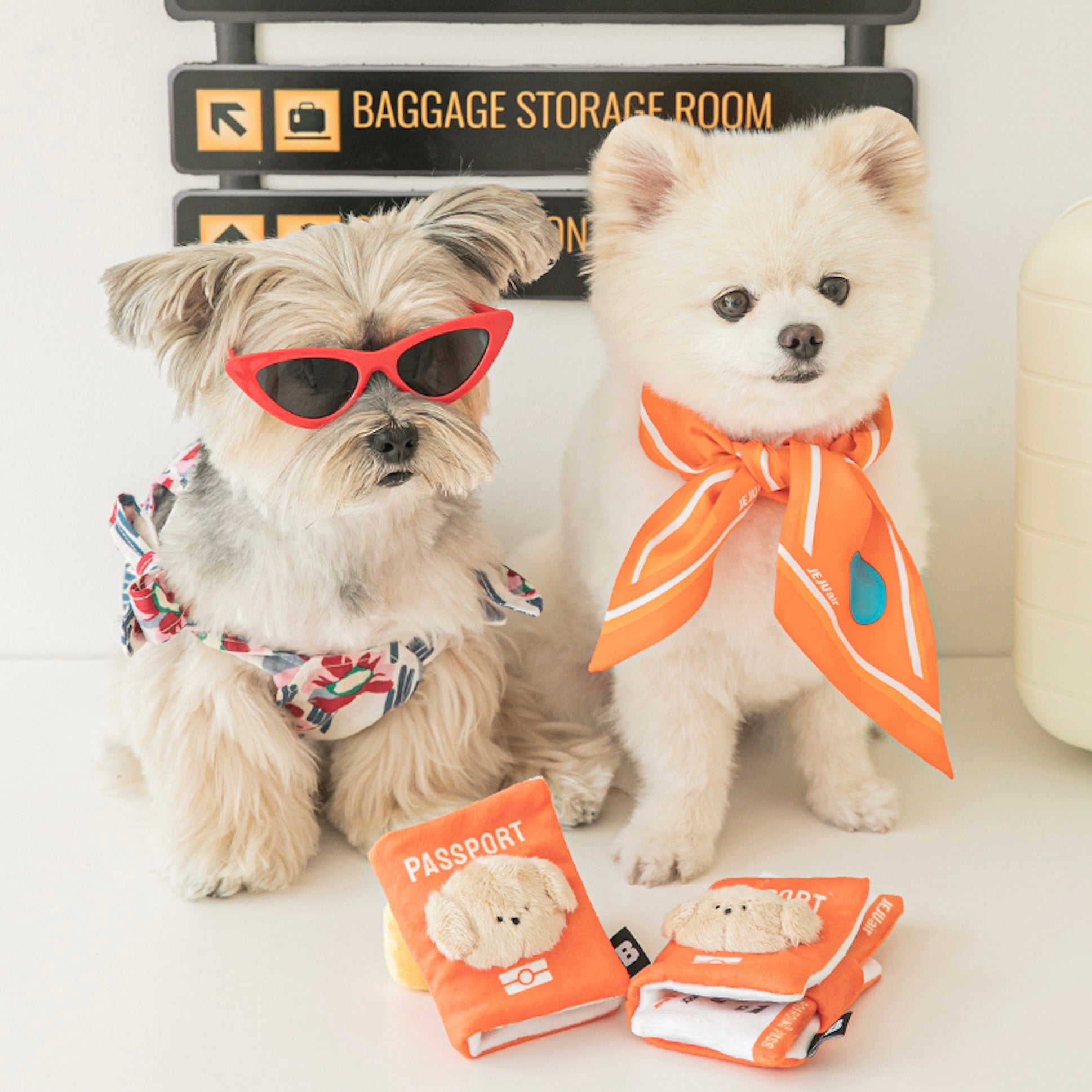 犬服・アクセサリー AY61 犬服・アクセサリー AY61 楽天市場】【 犬 服